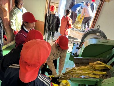 20250131_000835635_ios